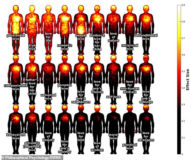 The researchers have previously mapped where in the body different forms of love were felt by asking where the participants tended to feel the experience the most